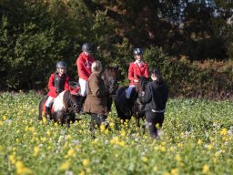 IMG_9791web